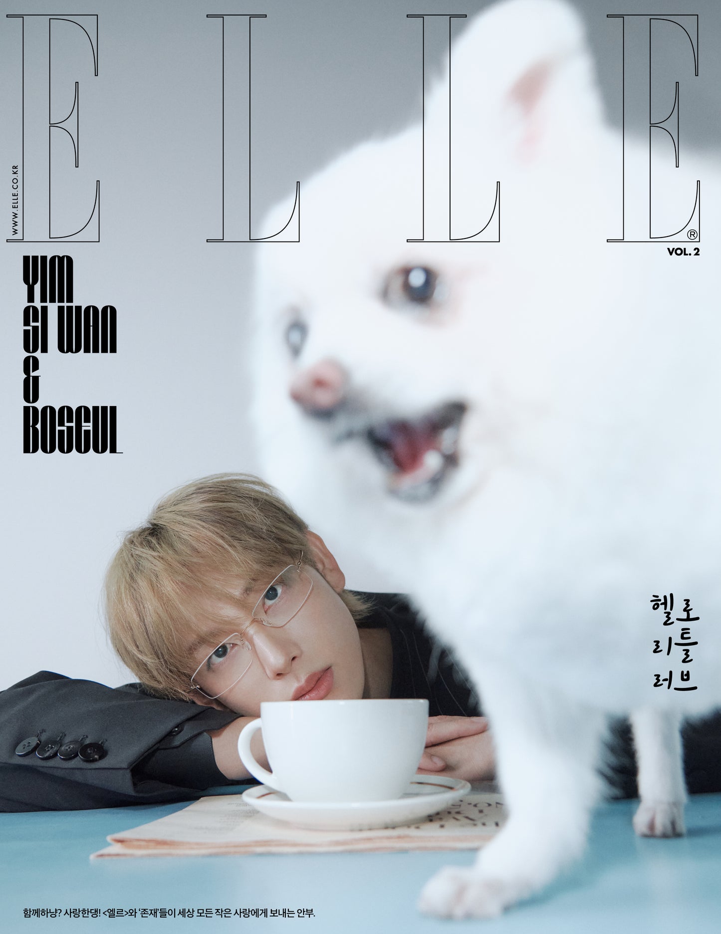 [PRE-ORDER] ELLE (엘르) 2025.11 (12 Covers) (Magazine)