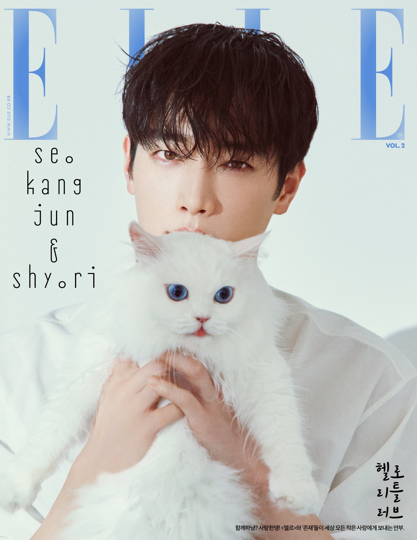 [PRE-ORDER] ELLE (엘르) 2025.11 (12 Covers) (Magazine)